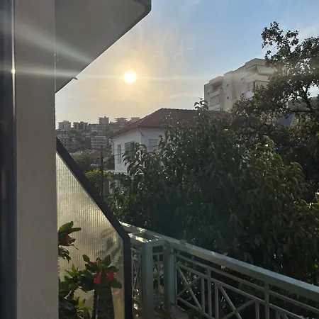 Timi Sarandë