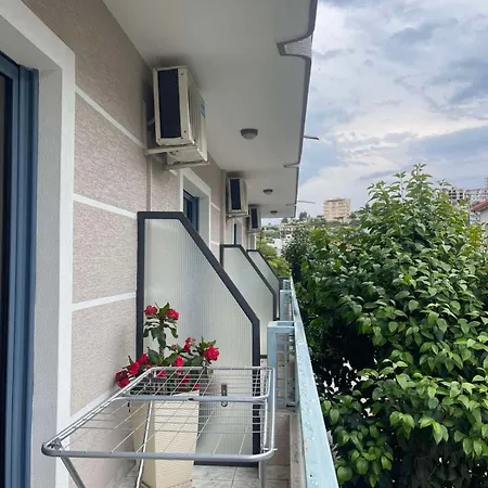 Hotel Timi
